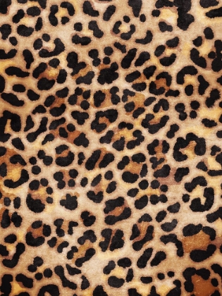 Picture of LEOPARD