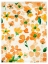 Picture of ORANGE