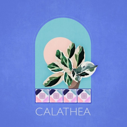 Picture of GREEN SETS CALATHEA