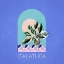 Picture of GREEN SETS CALATHEA