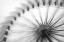 Picture of FERRIS WHEEL
