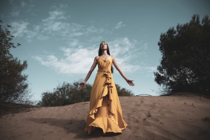 Picture of WOMAN IN YELLOW DRESS