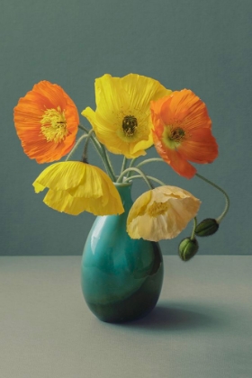 Picture of ICELANDIC POPPY STILL LIFE