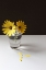 Picture of YELLOW DAISY STILL LIFE
