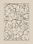 Picture of 3X4 ASPECTRATIOBOTANICAL102