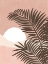 Picture of 3X4 ASPECTRATIOSOFTPINK33