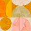 Picture of MID CENTURY CURRY YELLOW BLUSH SPRING2