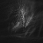 Picture of SUMMER BREEZE