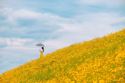 Picture of YELLOW HILLS. WAIT FOR THE RAIN