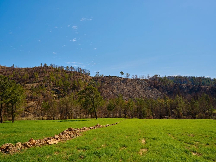 Picture of PEACEFUL LANDSCAPE IN A RURAL PLACE