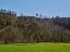 Picture of PEACEFUL LANDSCAPE IN A RURAL PLACE