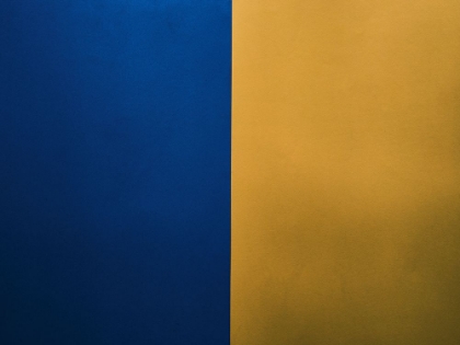 Picture of COLORS OF THE FLAG OF THE COUNTRY OF FREE UKRAINE