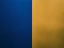 Picture of COLORS OF THE FLAG OF THE COUNTRY OF FREE UKRAINE