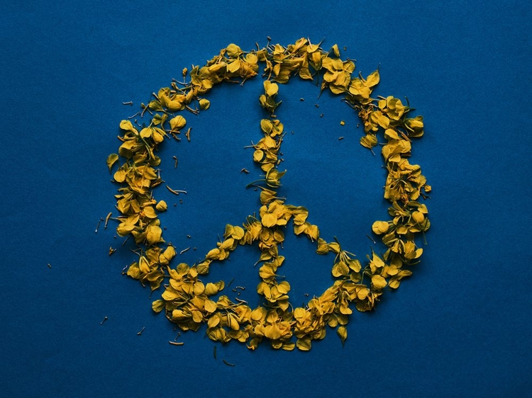 Picture of THE COLORS OF UKRAINE AND THE SYMBOL OF PEACE