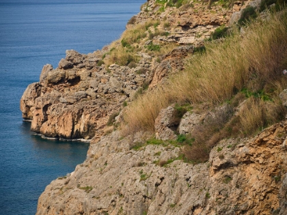 Picture of SEASCAPE AND ROCKS