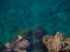 Picture of SEASCAPE AND ROCKS