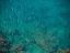 Picture of SEASCAPE AND ROCKS