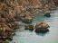 Picture of SEASCAPE AND ROCKS