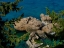 Picture of SEASCAPE AND ROCKS