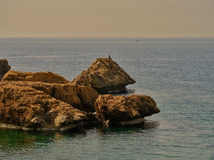 Picture of SEASCAPE AND ROCKS