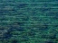 Picture of SEASCAPE AND ROCKS