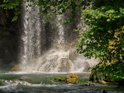 Picture of BEAUTIFUL WATERFALL IN THE FOREST