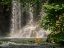 Picture of BEAUTIFUL WATERFALL IN THE FOREST