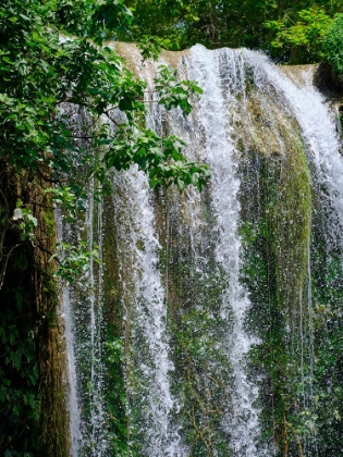 Picture of BEAUTIFUL WATERFALL IN THE FOREST