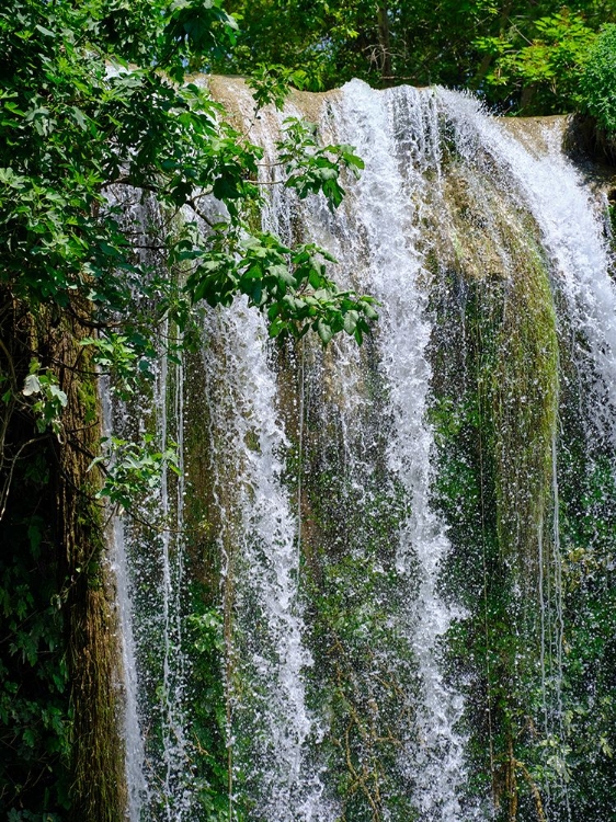 Picture of BEAUTIFUL WATERFALL IN THE FOREST