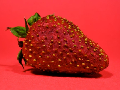 Picture of STRAWBERRY ISOLATED ON RED BACKGROUND