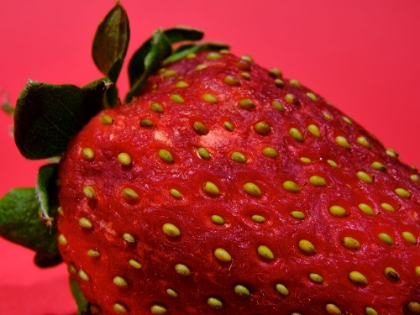 Picture of STRAWBERRY ISOLATED ON RED BACKGROUND