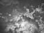 Picture of DRAMATIC SKY