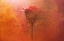 Picture of RED ROSE AND INK IN WATER
