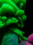Picture of INK IN WATER