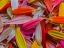 Picture of COLORFUL FLOWER PETALS