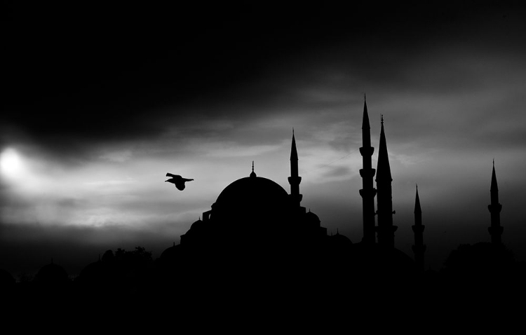 Picture of A HISTORICAL MOSQUE IN ISTANBUL CITY