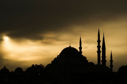 Picture of A HISTORICAL MOSQUE IN ISTANBUL CITY