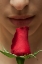 Picture of ROSE AND WOMAN