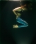 Picture of UNDERWATER ARTISTIC PORTRAIT SHOOTING