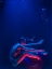 Picture of UNDERWATER ARTISTIC PORTRAIT SHOOTING