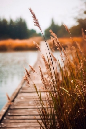 Picture of BY THE LAKE