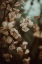 Picture of LOW LIGHT NATURE NO 2