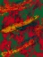Picture of COLORED PAINTS