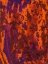 Picture of COLORED PAINTS
