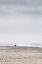 Picture of AT THE COAST 3