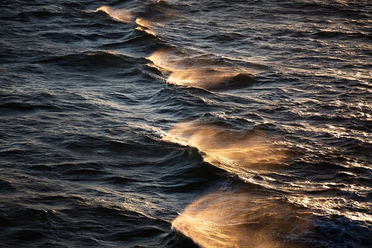 Picture of SUNKISSED WAVES