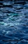 Picture of WATER 6