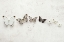 Picture of DANCING SPECKLED BUTTERFLIES