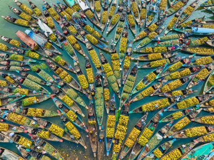 Picture of SUMMER FRUITS MARKET