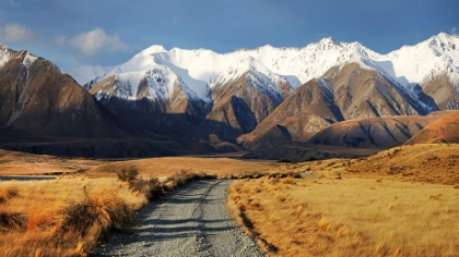 Picture of TAYLOR RANGE